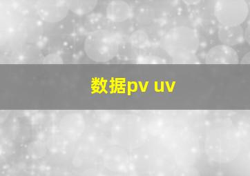 数据pv uv